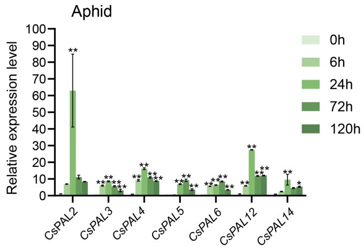 https://cdn.ncbi.nlm.nih.gov/pmc/blobs/f62e/11435200/b780927addac/plants-13-02537-g008.jpg