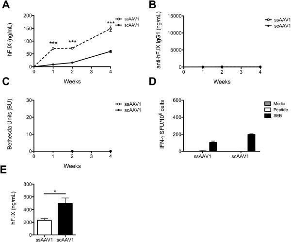 https://cdn.ncbi.nlm.nih.gov/pmc/blobs/f62e/3904690/363dcda108dd/1479-5876-12-25-3.jpg
