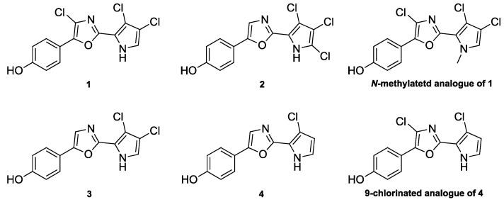https://cdn.ncbi.nlm.nih.gov/pmc/blobs/f62e/7588006/b5b03ddf16b1/molecules-25-04848-g001.jpg