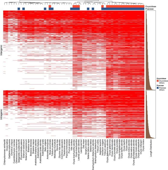 https://cdn.ncbi.nlm.nih.gov/pmc/blobs/f62f/6317475/527458a55660/zjw0021958520006.jpg
