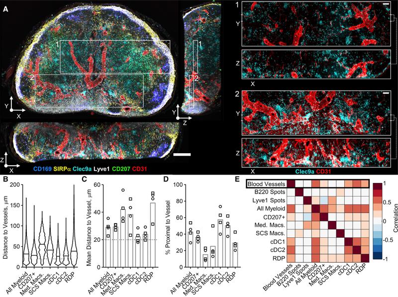 https://cdn.ncbi.nlm.nih.gov/pmc/blobs/f62f/7233132/5652aa62c36e/nihms-1586767-f0007.jpg