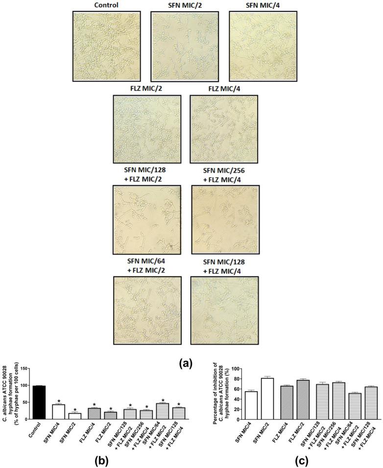 https://cdn.ncbi.nlm.nih.gov/pmc/blobs/f62f/9774275/fe6f764d8bac/antibiotics-11-01842-g001.jpg