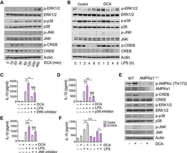 https://cdn.ncbi.nlm.nih.gov/pmc/blobs/f631/7493030/164c99c936d7/mjz113f5.jpg