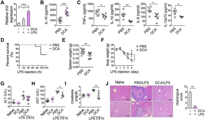 https://cdn.ncbi.nlm.nih.gov/pmc/blobs/f631/7493030/674e49fd0dad/mjz113f6.jpg