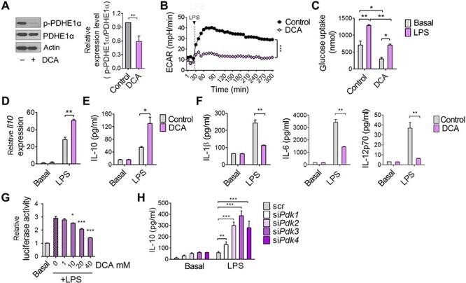 https://cdn.ncbi.nlm.nih.gov/pmc/blobs/f631/7493030/f014fdbfde48/mjz113f3.jpg