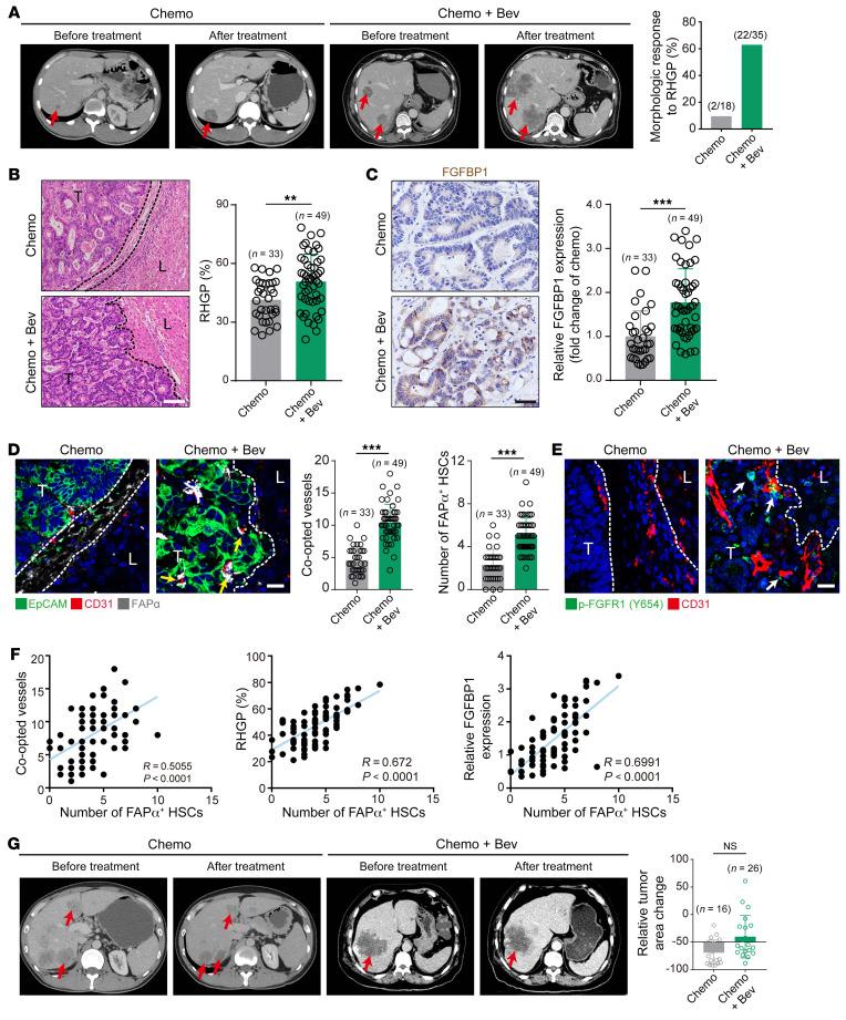 https://cdn.ncbi.nlm.nih.gov/pmc/blobs/f632/9525122/246b787b4deb/jci-132-157399-g065.jpg