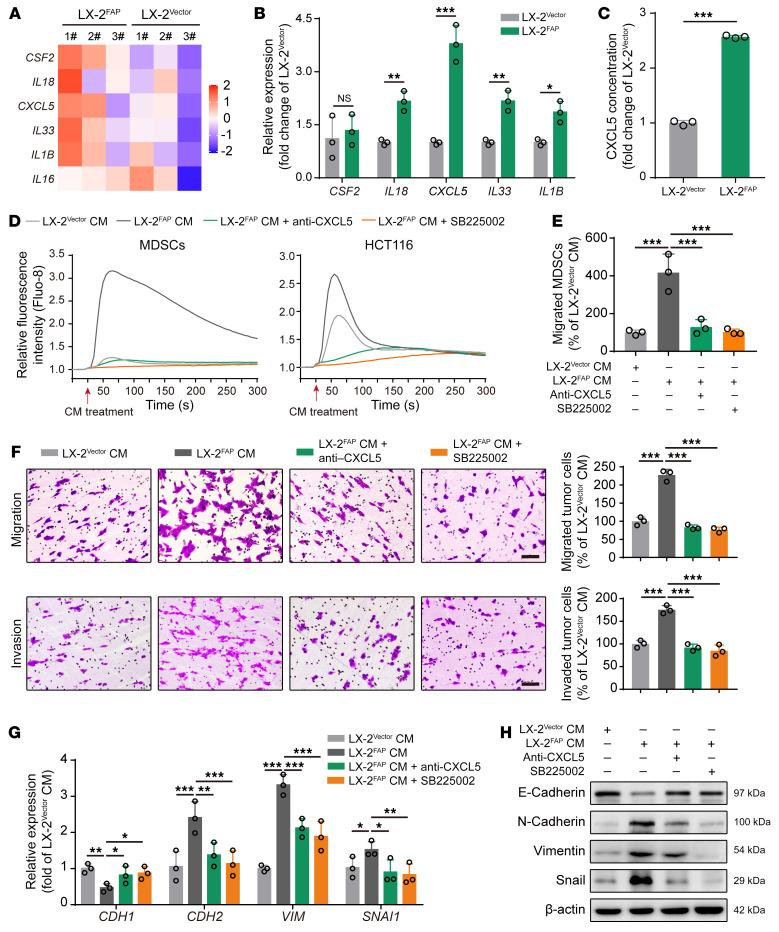 https://cdn.ncbi.nlm.nih.gov/pmc/blobs/f632/9525122/8833d53b50ef/jci-132-157399-g061.jpg