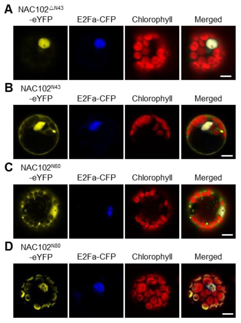 https://cdn.ncbi.nlm.nih.gov/pmc/blobs/f633/8268430/1ebdb9a1bf0e/ijms-22-06769-g003.jpg