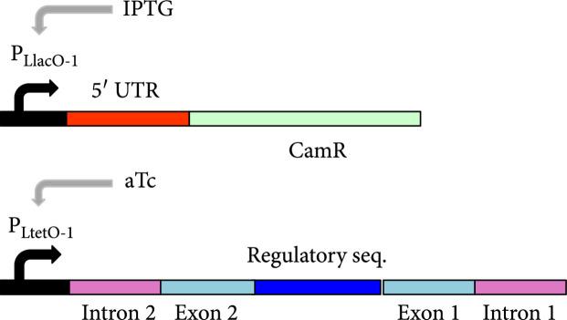 https://cdn.ncbi.nlm.nih.gov/pmc/blobs/f635/10521646/098cc5e88f79/1916789.fig.003d.jpg
