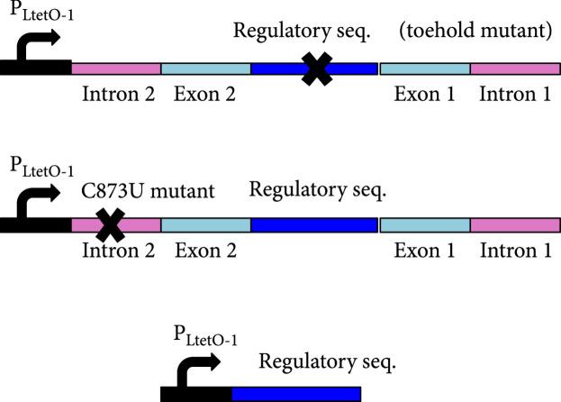 https://cdn.ncbi.nlm.nih.gov/pmc/blobs/f635/10521646/1af1afecb09d/1916789.fig.003b.jpg