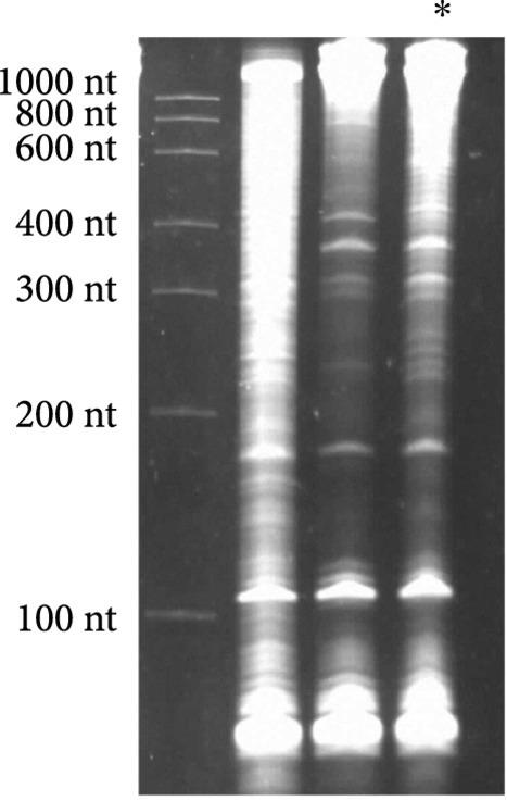 https://cdn.ncbi.nlm.nih.gov/pmc/blobs/f635/10521646/820446fbae32/1916789.fig.002e.jpg