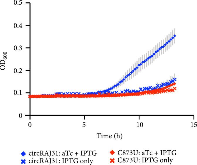 https://cdn.ncbi.nlm.nih.gov/pmc/blobs/f635/10521646/8b39f41e3b69/1916789.fig.003f.jpg