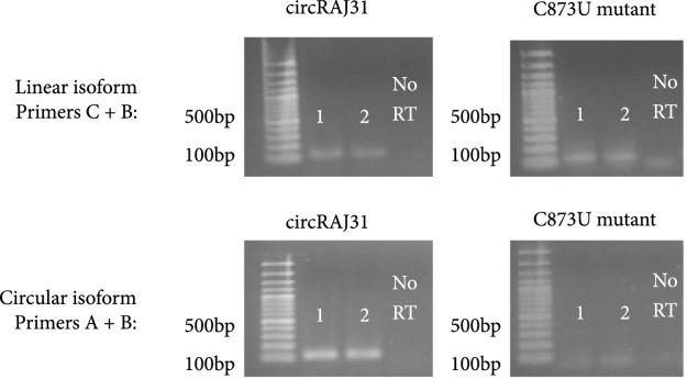 https://cdn.ncbi.nlm.nih.gov/pmc/blobs/f635/10521646/b8eae4da8873/1916789.fig.002c.jpg