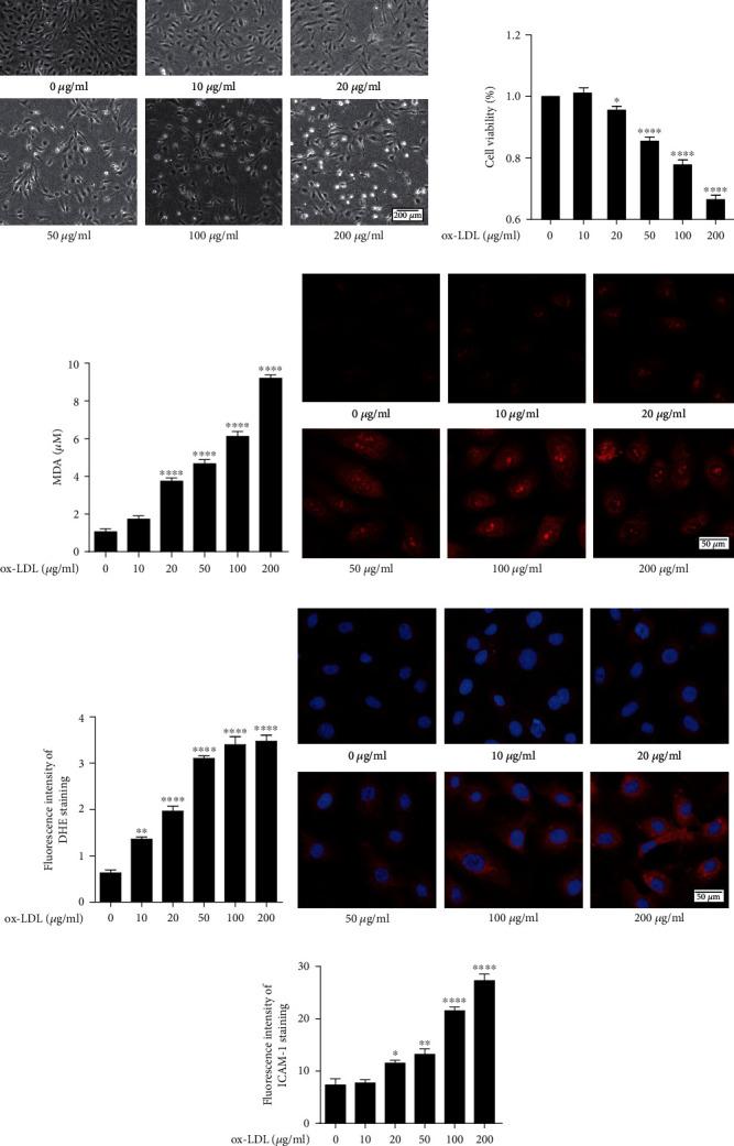 https://cdn.ncbi.nlm.nih.gov/pmc/blobs/f635/8575640/0093cbabed1d/JIR2021-5151168.001.jpg