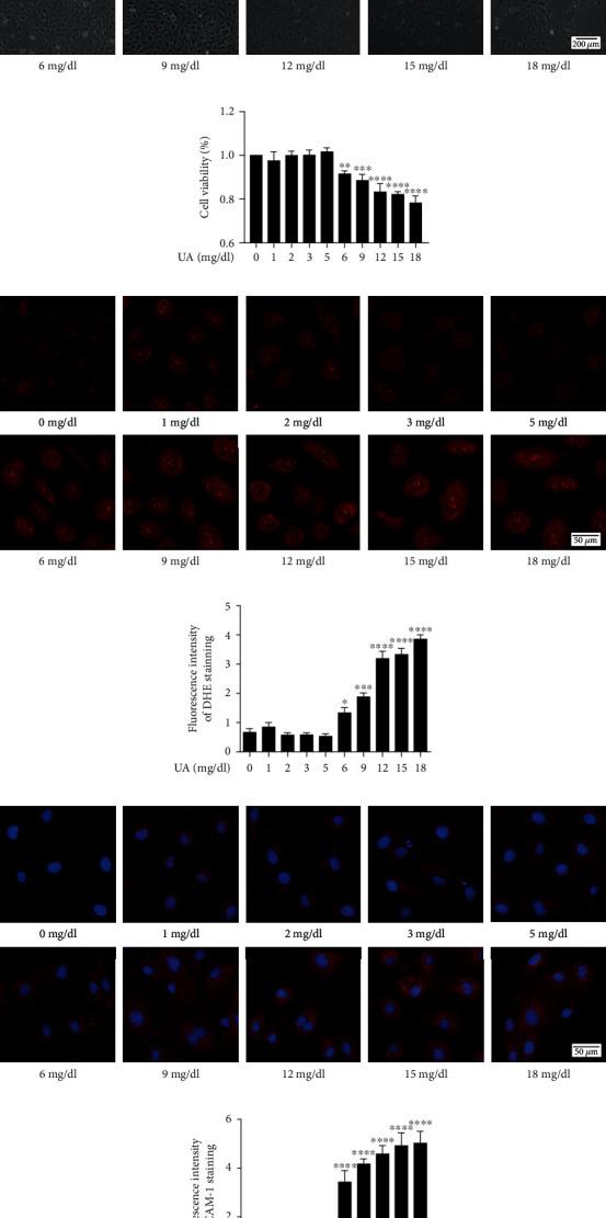 https://cdn.ncbi.nlm.nih.gov/pmc/blobs/f635/8575640/1804db253a86/JIR2021-5151168.002.jpg
