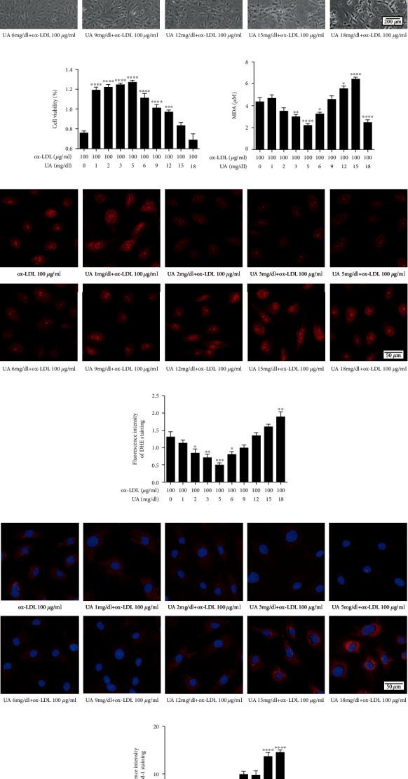 https://cdn.ncbi.nlm.nih.gov/pmc/blobs/f635/8575640/1d02d7c23b87/JIR2021-5151168.003.jpg