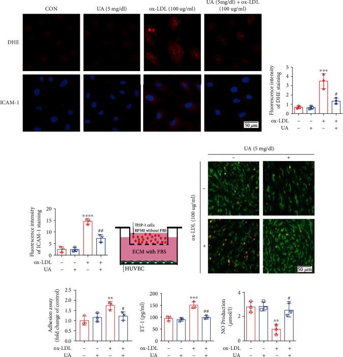 https://cdn.ncbi.nlm.nih.gov/pmc/blobs/f635/8575640/3bc5c97386b1/JIR2021-5151168.004.jpg