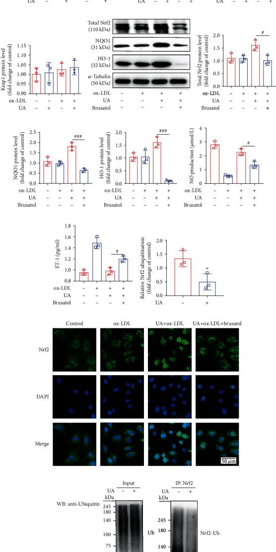 https://cdn.ncbi.nlm.nih.gov/pmc/blobs/f635/8575640/a12baff2f3a2/JIR2021-5151168.005.jpg