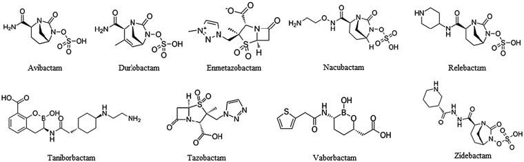 https://cdn.ncbi.nlm.nih.gov/pmc/blobs/f636/12204647/9a76544c085c/dlaf096f1.jpg