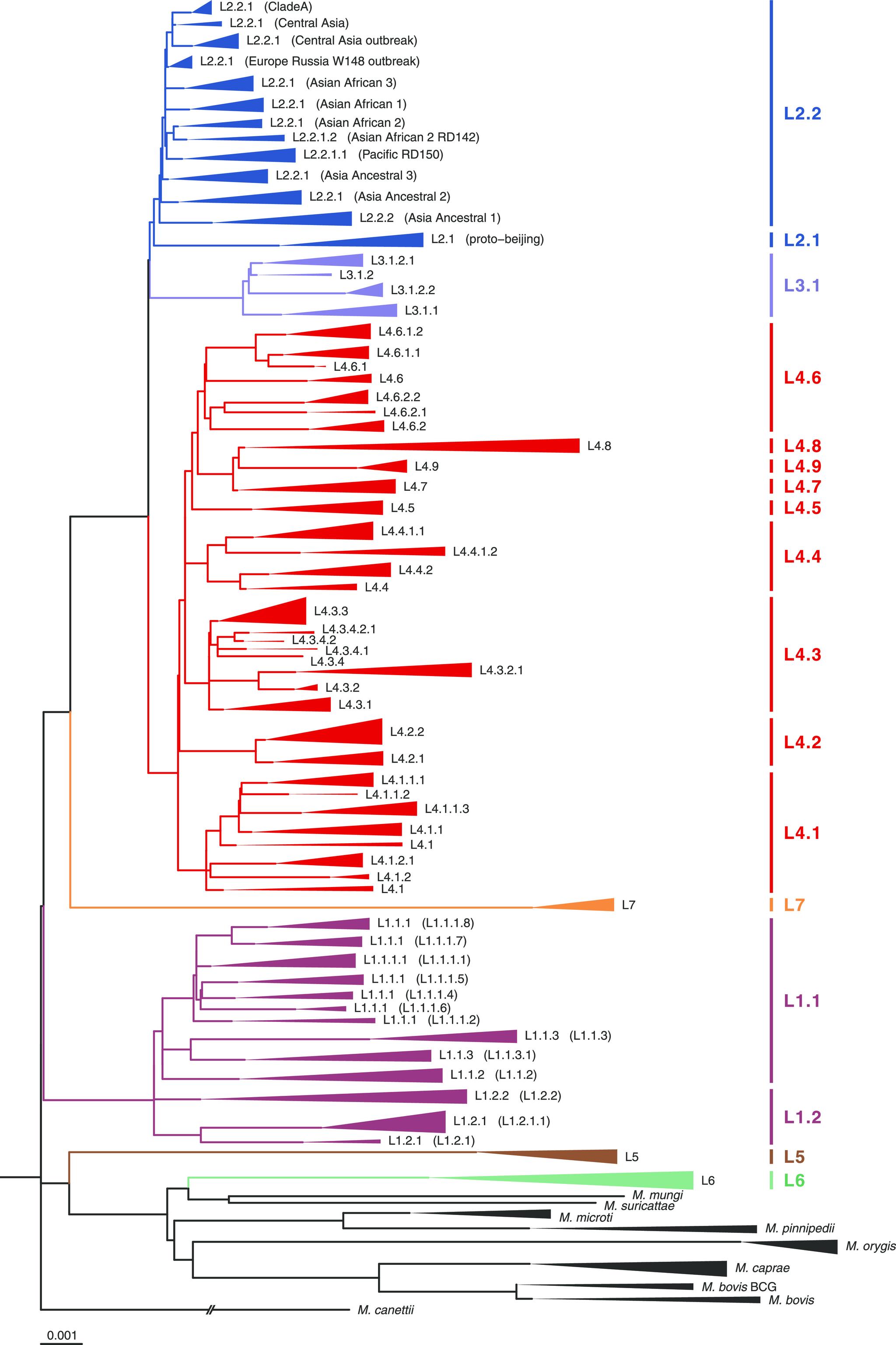 https://cdn.ncbi.nlm.nih.gov/pmc/blobs/f636/8386458/04cc12bef8c3/msphere.00535-21-f001.jpg