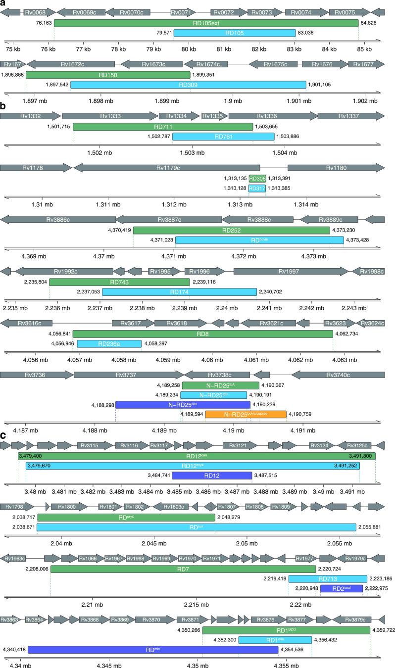 https://cdn.ncbi.nlm.nih.gov/pmc/blobs/f636/8386458/2b81a3dad59e/msphere.00535-21-f004.jpg