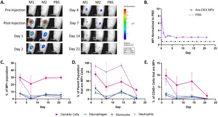 https://cdn.ncbi.nlm.nih.gov/pmc/blobs/f639/11474811/7827d1182909/d4pm00054d-f6.jpg