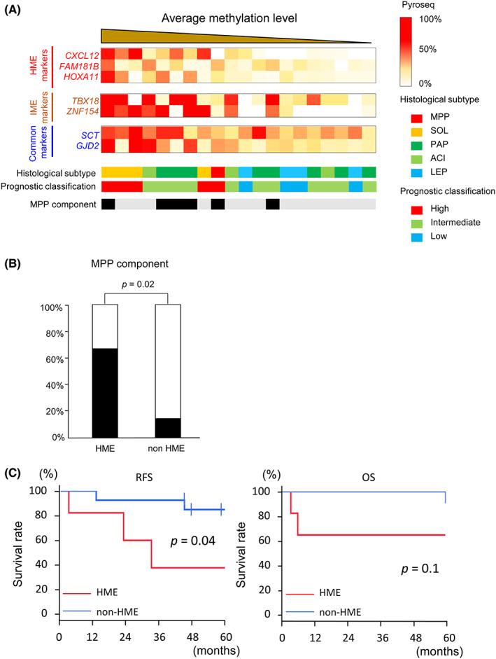 https://cdn.ncbi.nlm.nih.gov/pmc/blobs/f63b/10323093/263febffbe50/CAS-114-3003-g003.jpg
