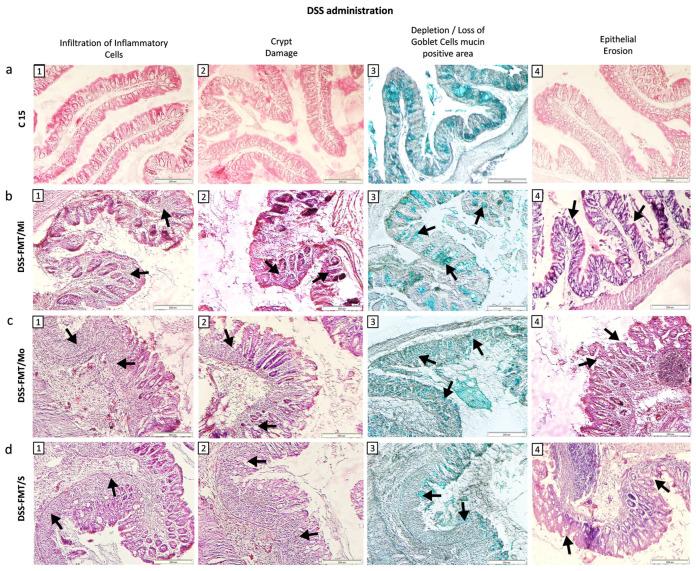 https://cdn.ncbi.nlm.nih.gov/pmc/blobs/f63b/10813722/12c0eb8d847e/biomedicines-12-00043-g003.jpg