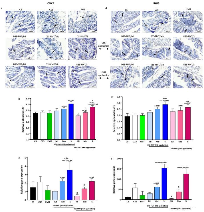 https://cdn.ncbi.nlm.nih.gov/pmc/blobs/f63b/10813722/1e3aaf0ce7d4/biomedicines-12-00043-g007.jpg