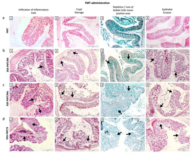 https://cdn.ncbi.nlm.nih.gov/pmc/blobs/f63b/10813722/4b1a089e4b6b/biomedicines-12-00043-g005.jpg