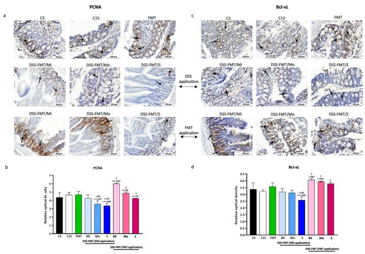 https://cdn.ncbi.nlm.nih.gov/pmc/blobs/f63b/10813722/93dacf1b2486/biomedicines-12-00043-g006.jpg