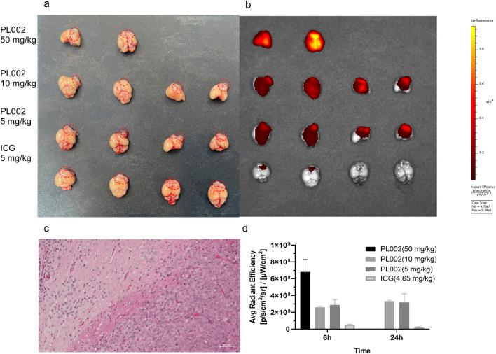 https://cdn.ncbi.nlm.nih.gov/pmc/blobs/f63d/11966174/09f438464c8e/fbioe-13-1557772-g004.jpg