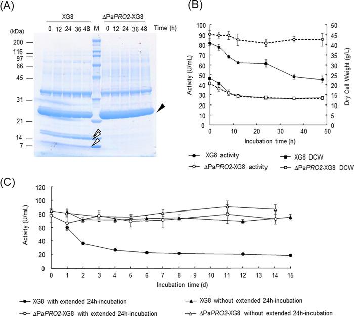 https://cdn.ncbi.nlm.nih.gov/pmc/blobs/f63e/7968665/54b63695a0bf/pone.0247462.g004.jpg