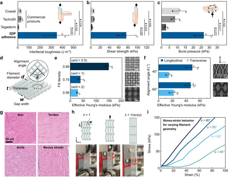 https://cdn.ncbi.nlm.nih.gov/pmc/blobs/f63f/10853267/f70d9a6fdc30/41467_2024_45147_Fig3_HTML.jpg