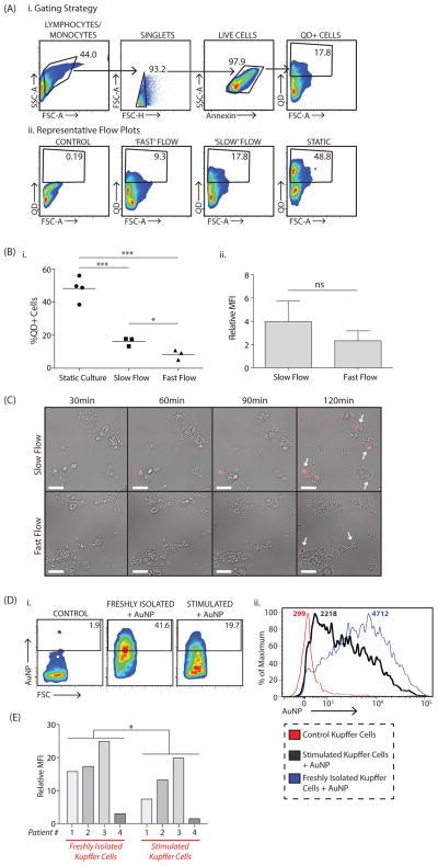 https://cdn.ncbi.nlm.nih.gov/pmc/blobs/f640/5132626/70db6ec57553/nihms6330f5.jpg