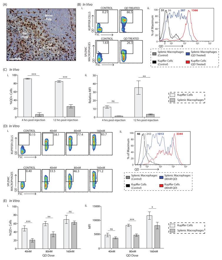 https://cdn.ncbi.nlm.nih.gov/pmc/blobs/f640/5132626/7fd59b6f4a84/nihms6330f4.jpg