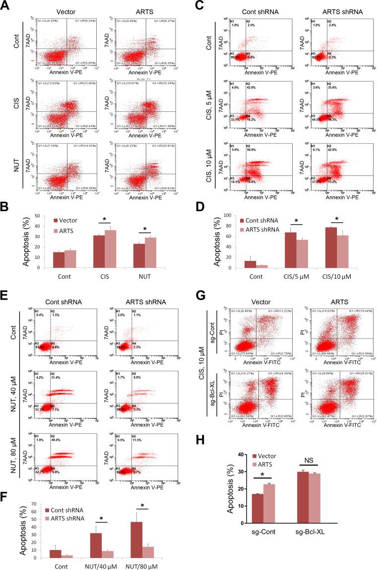 https://cdn.ncbi.nlm.nih.gov/pmc/blobs/f640/7904775/34673b3c8f5c/41419_2021_3463_Fig6_HTML.jpg