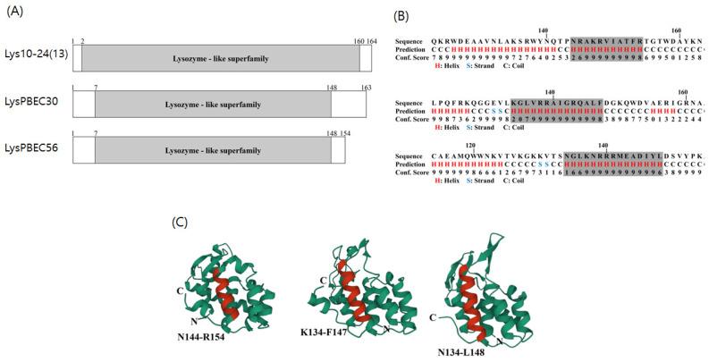 https://cdn.ncbi.nlm.nih.gov/pmc/blobs/f645/10053066/0457a8e38f66/viruses-15-00679-g001.jpg