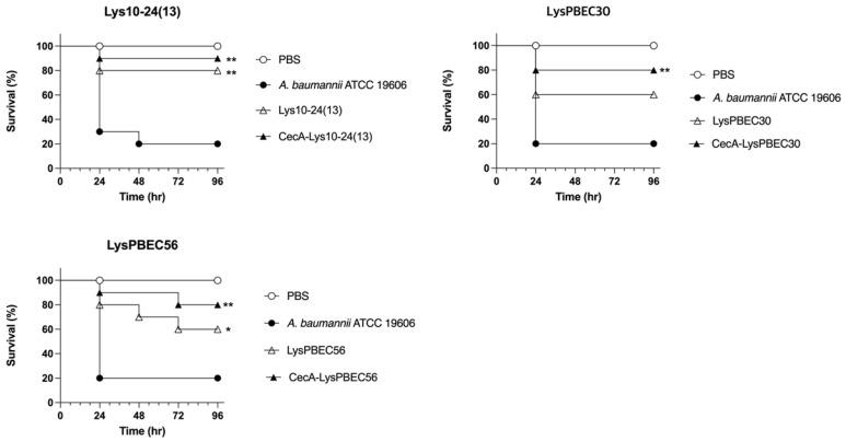 https://cdn.ncbi.nlm.nih.gov/pmc/blobs/f645/10053066/8a64d580b636/viruses-15-00679-g007.jpg