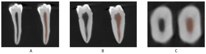https://cdn.ncbi.nlm.nih.gov/pmc/blobs/f649/10669346/ed0c0a2f2c9b/bioengineering-10-01331-g001.jpg