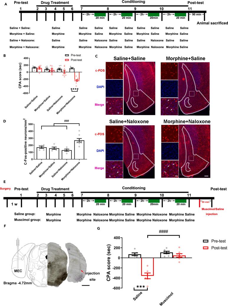 https://cdn.ncbi.nlm.nih.gov/pmc/blobs/f649/11253517/2bd82ee6fa62/gr1.jpg