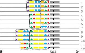 https://cdn.ncbi.nlm.nih.gov/pmc/blobs/f649/5117513/ef17df242310/12859_2016_1354_Fig1_HTML.jpg