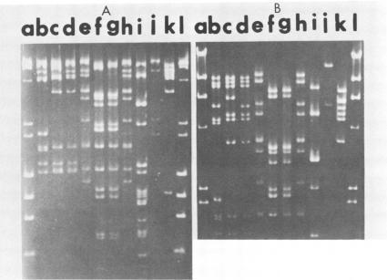 https://cdn.ncbi.nlm.nih.gov/pmc/blobs/f64a/242555/fce91213141a/aem00175-0196-a.jpg
