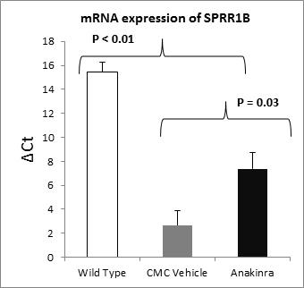 https://cdn.ncbi.nlm.nih.gov/pmc/blobs/f64a/3782366/81b124e4a375/mv-v19-1957-f4.jpg