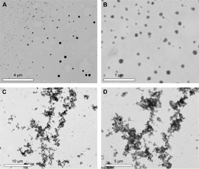 https://cdn.ncbi.nlm.nih.gov/pmc/blobs/f64a/4841430/029844530318/ijn-11-1607Fig2.jpg