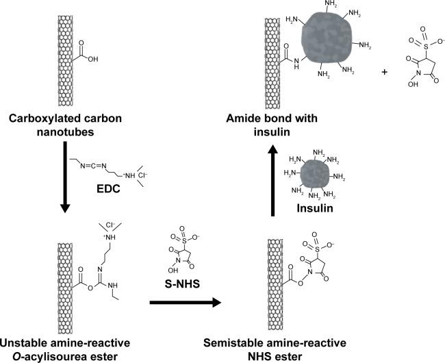 https://cdn.ncbi.nlm.nih.gov/pmc/blobs/f64a/4841430/afc90e333000/ijn-11-1607Fig1.jpg
