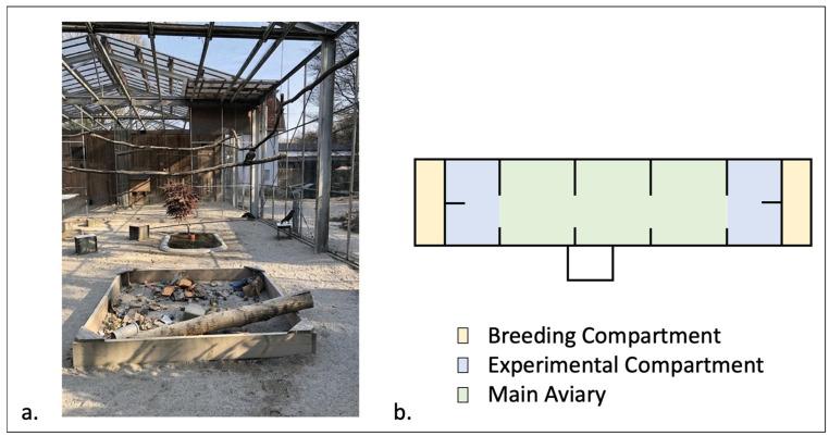https://cdn.ncbi.nlm.nih.gov/pmc/blobs/f64d/11171027/8a0840288daf/animals-14-01651-g001.jpg