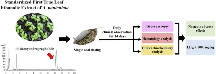 https://cdn.ncbi.nlm.nih.gov/pmc/blobs/f64d/6514436/87e1085ed711/ga1.jpg