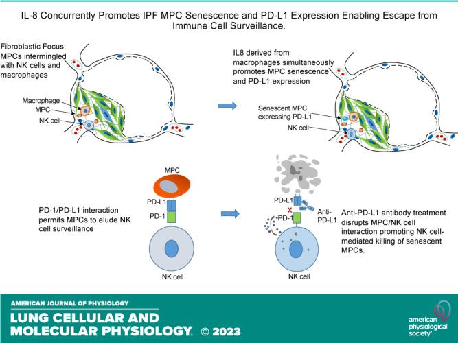 https://cdn.ncbi.nlm.nih.gov/pmc/blobs/f64e/10228676/0d645d84d7a4/l-00028-2023r01.jpg
