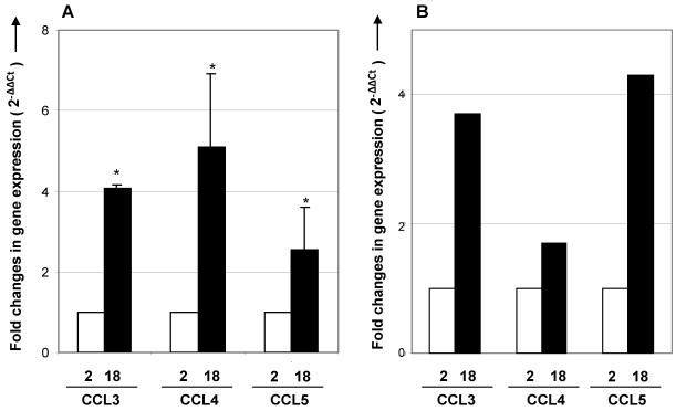 https://cdn.ncbi.nlm.nih.gov/pmc/blobs/f64f/2792732/d28c09b8b958/ijmsv07p0001g05.jpg